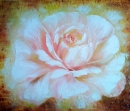 Картина «Роза», художник Мурашова Катерина, 0 грн.