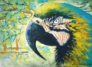 Картина «Попугай», художник Анатолий Буртовый, 0 грн.