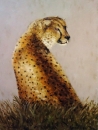 Картина «Леопард -30%», художник Литовка Дмитрий, 0 грн.