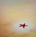 Картина «Морская звезда », художник Жук Анна, 0 грн.