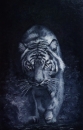 Картина «Тигр», художник Рущак Михаил, 0 грн.