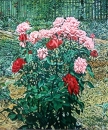 Картина «Розы», художник Гребиниченко Г.И. , 0 грн.