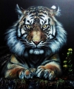 Картина «Тигр», художник Прокина Ольга, 0 грн.