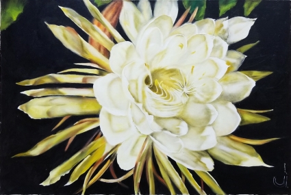 Картина Цветок кактуса