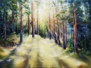 Картина «Сонце в сосновому лісі», художник Степанюк Татьяна, 0 грн.