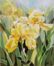 Картина «Квіти жовтих ірисів -20%», художник Тамара Волощук, 2500 грн.