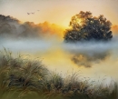 Картина «Осінь у ранішньому світлі», художник Степанюк Тетяна, 0 грн.