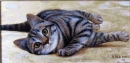 Картина «Кошка», художник Кот Светлана, 0 грн.
