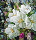 Картина «Яблони цветут», художник Чудиновских Ольга, 0 грн.