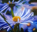 Картина «Голубая ромашка», художник Чудиновских Ольга, 0 грн.