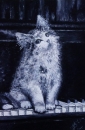 Картина «Кіт на піаніно», художник Рущак Михаил, 0 грн.
