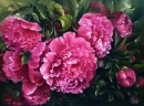 Картина «Рожеві півонії», художник Степанюк Татьяна, 0 грн.