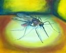 Картина «Комар», художник Цымбал Марина, 0 грн.