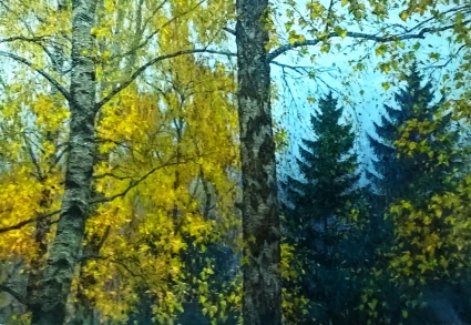 Картина Осень. Березы