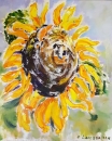 Картина «Подсолнух-Солнце», художник ЛО, 0 грн.