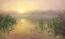 Картина «Бережок в тумані», художник Степанюк Татьяна, 0 грн.