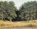 Картина «Сосновий ліс», художник Кузьменко Валерій, 2500 грн.